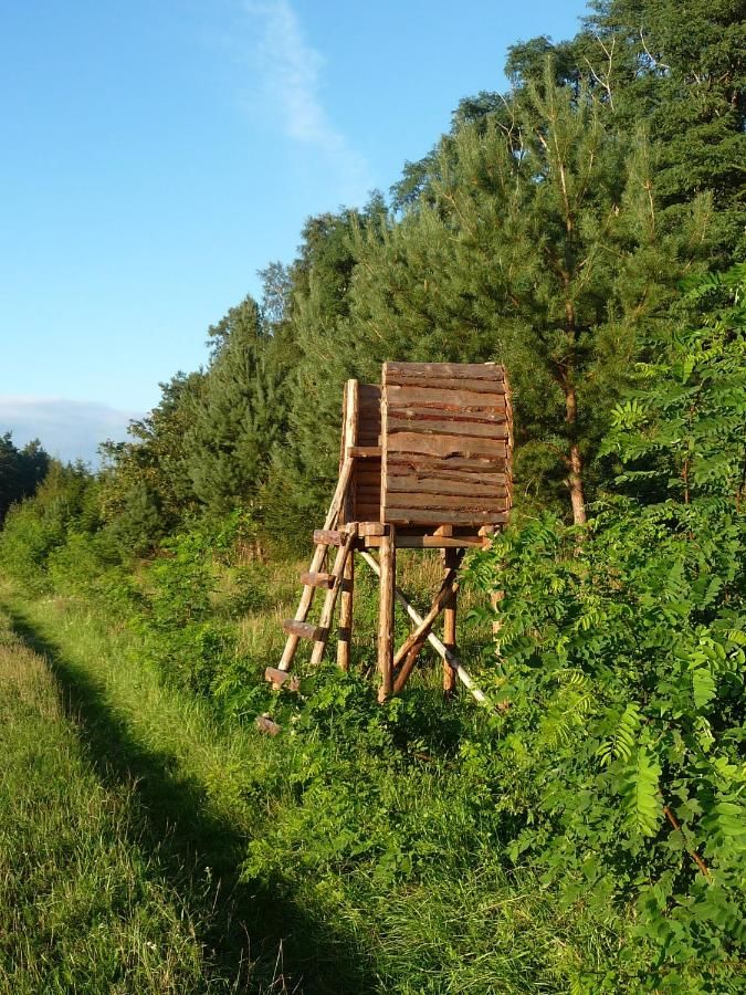 Фермерские дома Gospodarstwo Agroturystyczne Leśniczówka Lubin-14