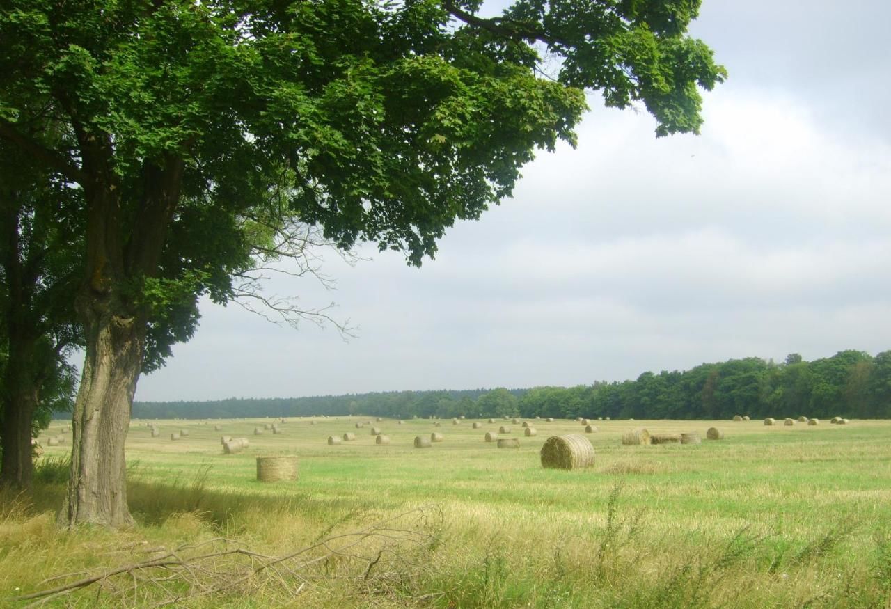 Фермерские дома Gospodarstwo Agroturystyczne Leśniczówka Lubin-15