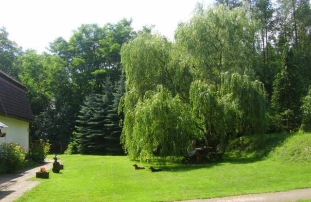 Фермерские дома Gospodarstwo Agroturystyczne Leśniczówka Lubin